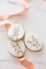 Edible Print Sugar Cookies